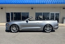 Ford Mustang GT Convertible Rental